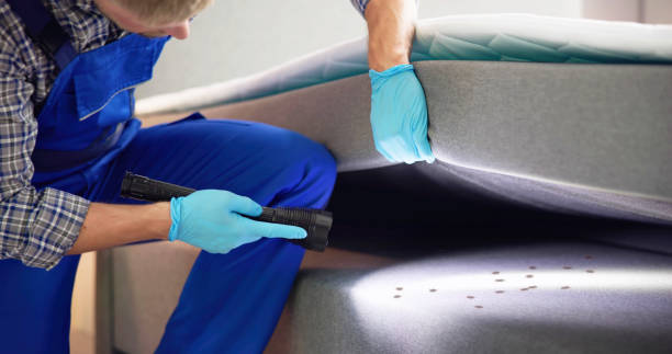 Best Best Pest Control Companies  in Gooding, ID