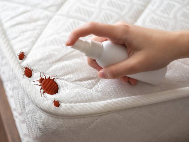 Best Pest Prevention Services  in Gooding, ID