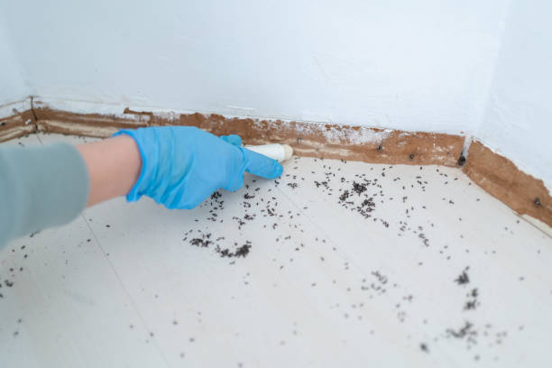 Wildlife Control Services in Gooding, ID